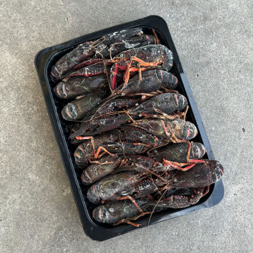 Crawfish (Cooked) 1KG